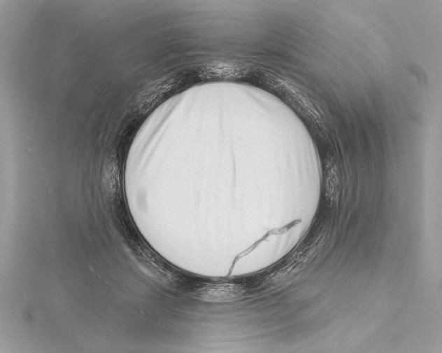 X0000115520459200912040932