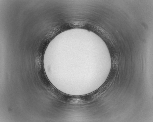 X0000115520460200912040932