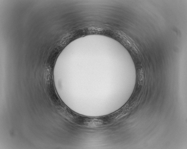 X0000115520463200912040932