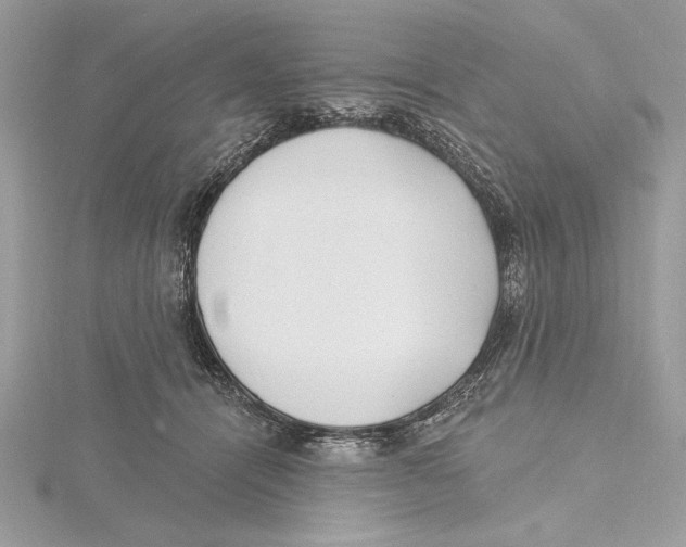 X0000115520464200912040932