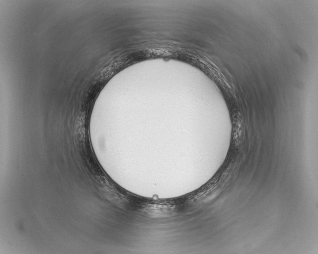 X0000115520466200912040932