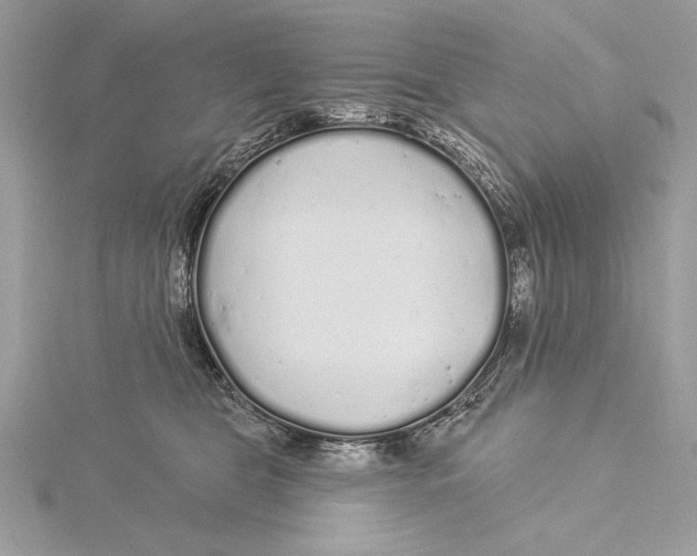 X0000115520469200912040932