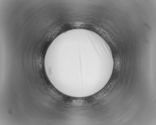 X0000115520470200912040932