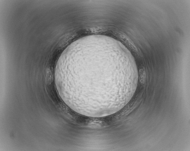 X0000115520471200912040932