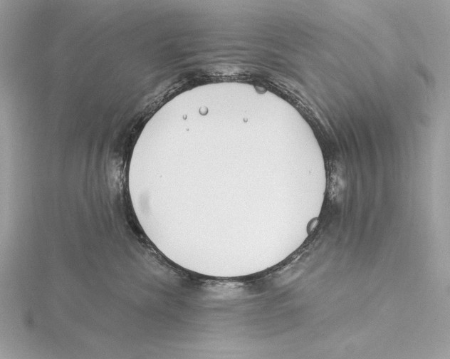 X0000115520476200912040933