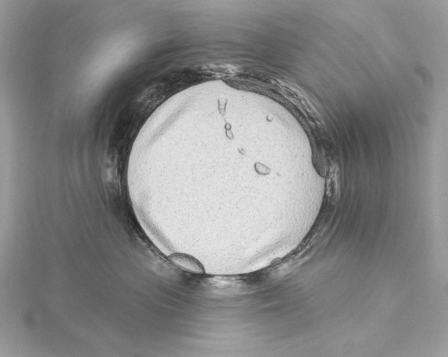 X0000115520477200912040933