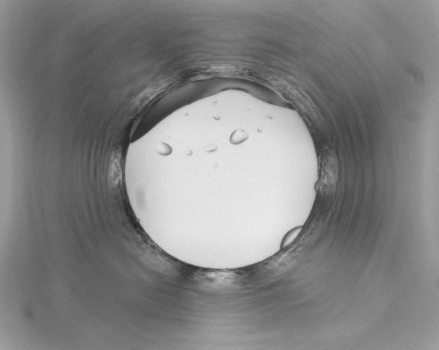 X0000115520478200912040933