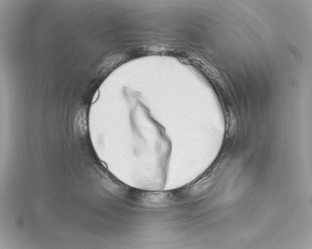 X0000115520479200912040933