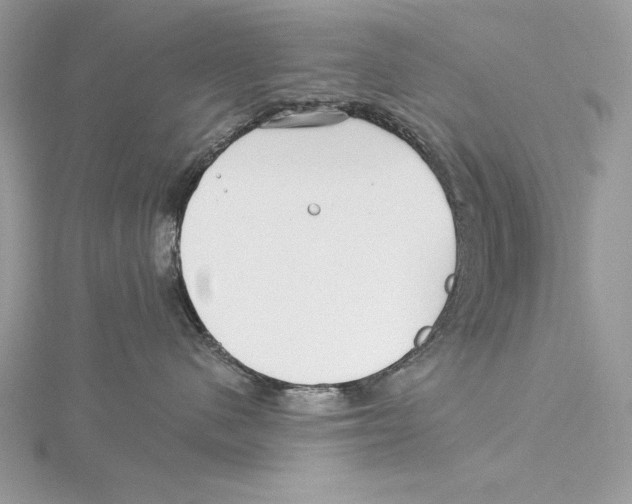 X0000115520480200912040933