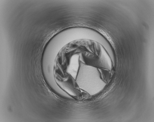 X0000115520481200912040932