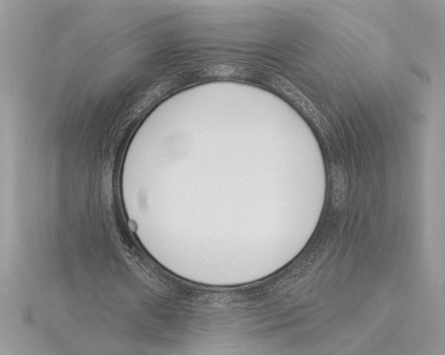 X0000115520482200912040932