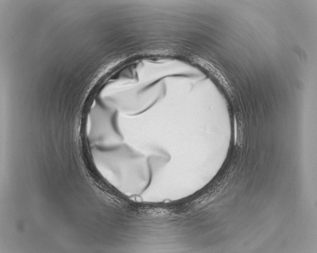 X0000115520483200912040932