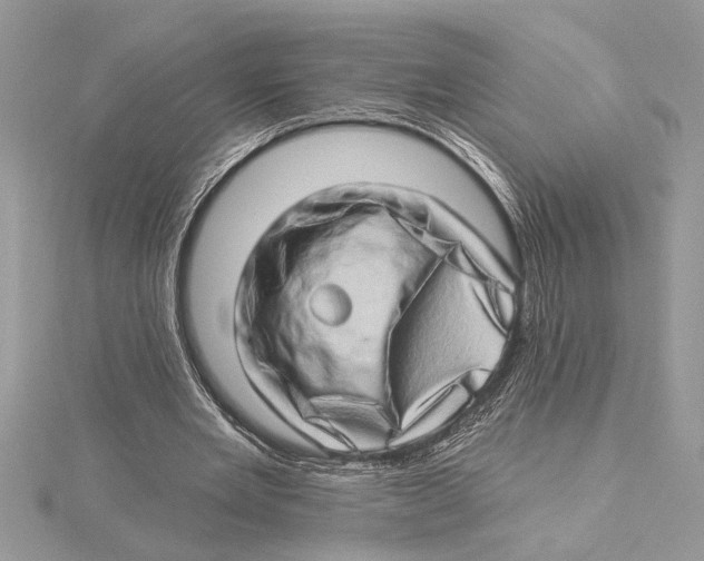 X0000115520485200912040932