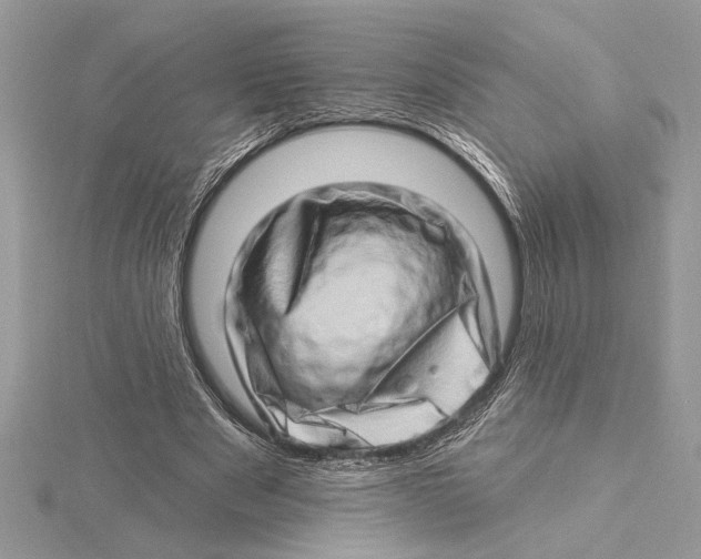 X0000115520489200912040932