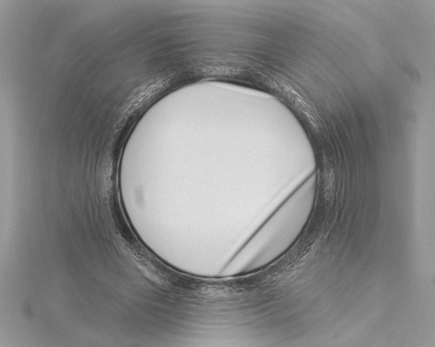 X0000115520490200912040932