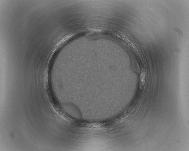 X0000115520492200912040932