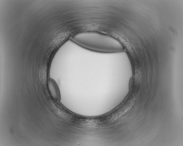 X0000115520493200912040932