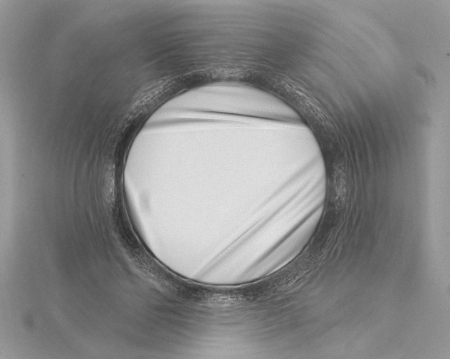 X0000115520494200912040932