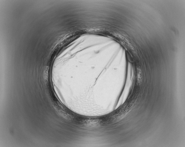 X0000115520495200912040932