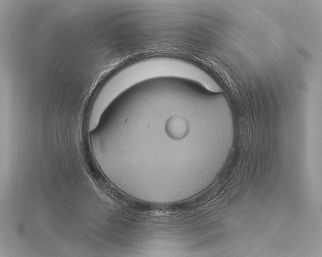 X0000115520496200912040932