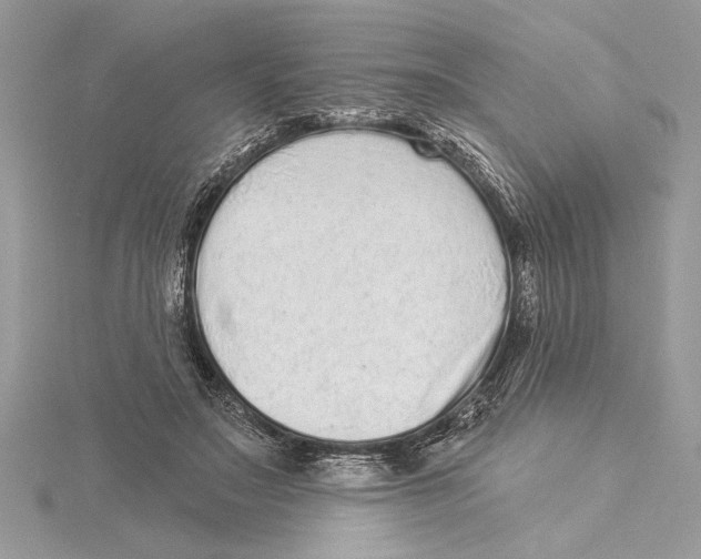 X0000115520499200912040932