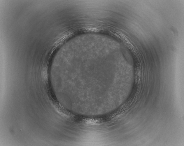 X0000115520500200912040932