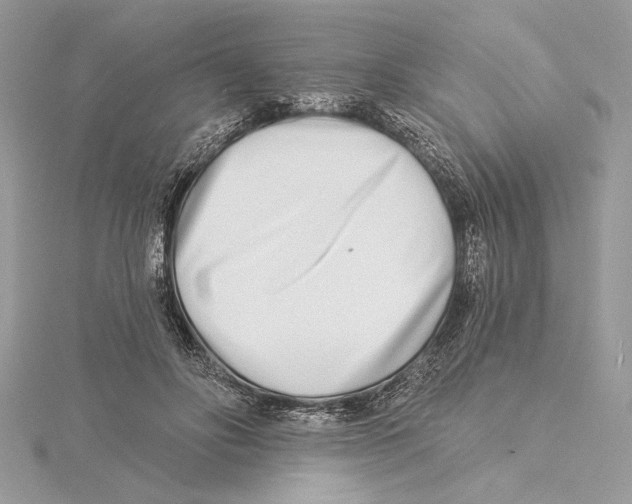 X0000115520502200912040932