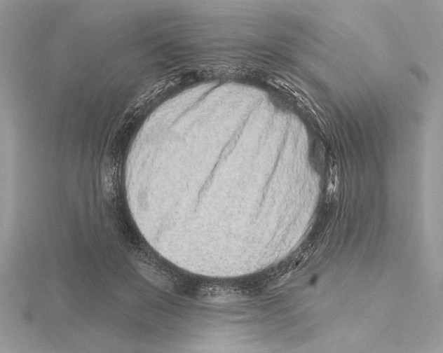 X0000115520503200912040931