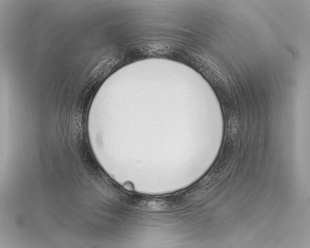 X0000115520506200912040931