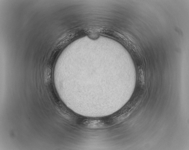 X0000115520507200912040931