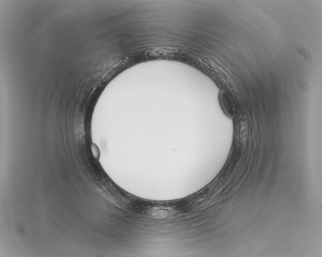 X0000115520508200912040931