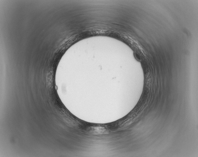 X0000115520509200912040931