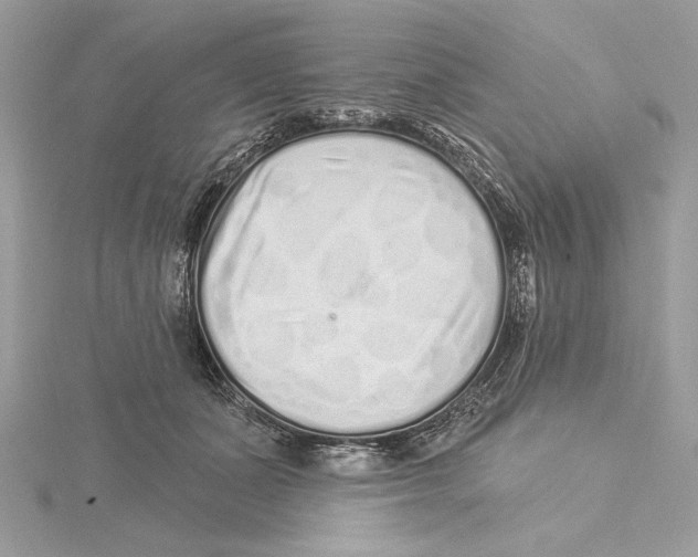 X0000115520511200912040931