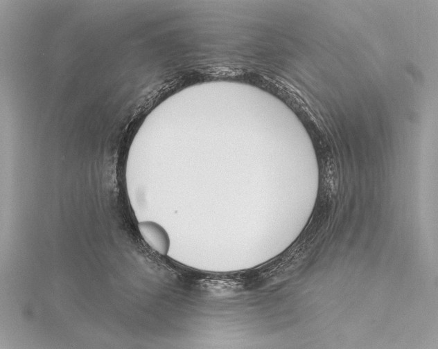 X0000115520512200912040931