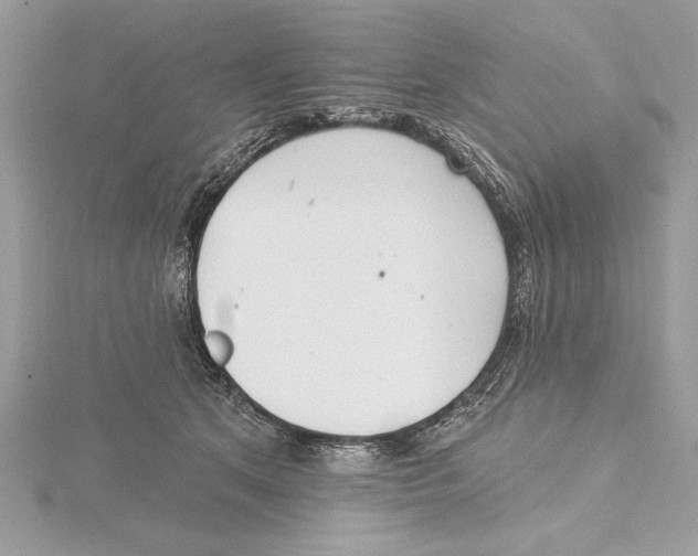 X0000115520513200912040931