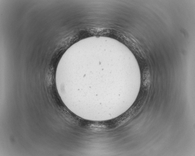 X0000115520515200912040931