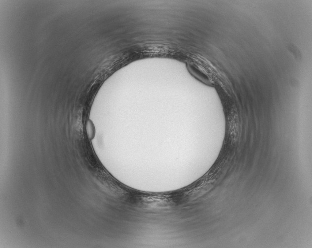 X0000115520516200912040931