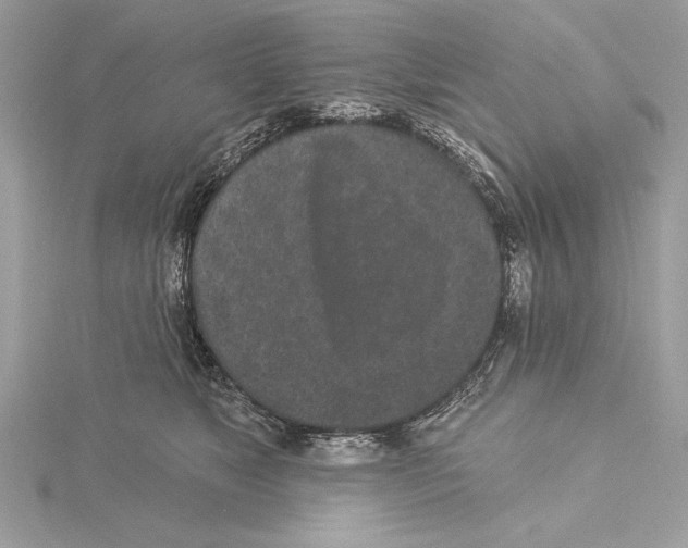 X0000115520517200912040931