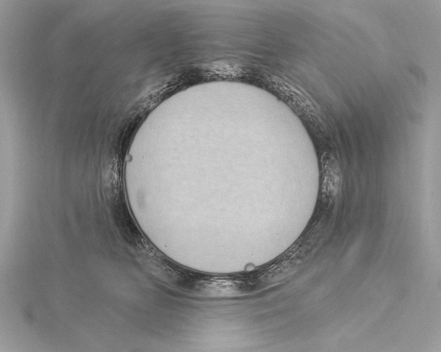 X0000115520518200912040931