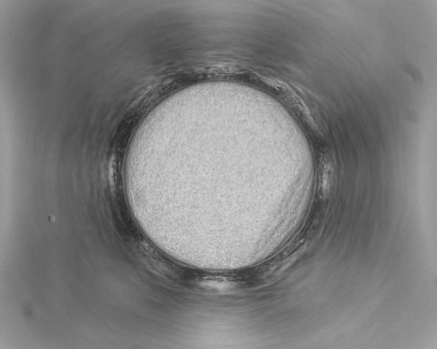 X0000115520519200912040931