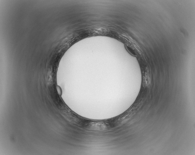 X0000115520520200912040931