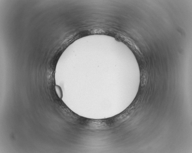 X0000115520521200912040931