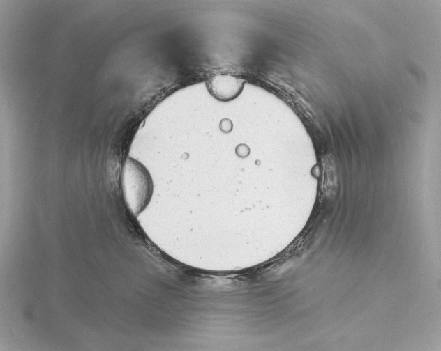 X0000115520523200912040931