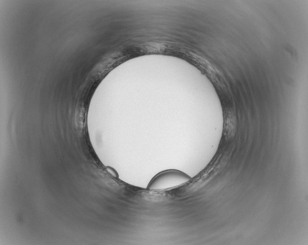 X0000115520525200912040931