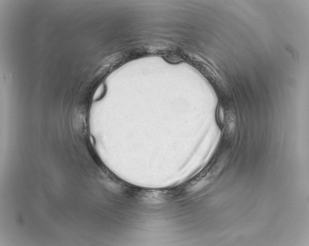 X0000115520527200912040931