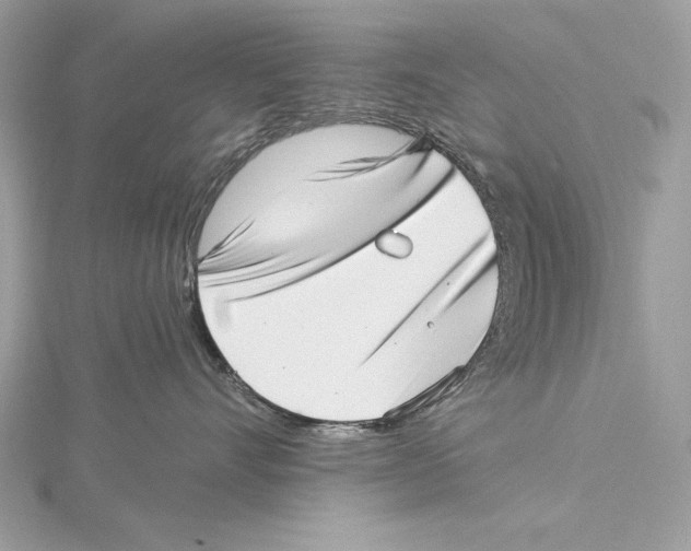 X0000115520528200912040931