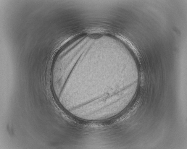 X0000115520529200912040931