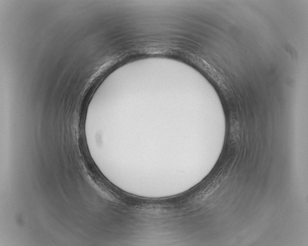 X0000115520530200912040931