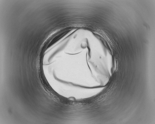 X0000115520531200912040931