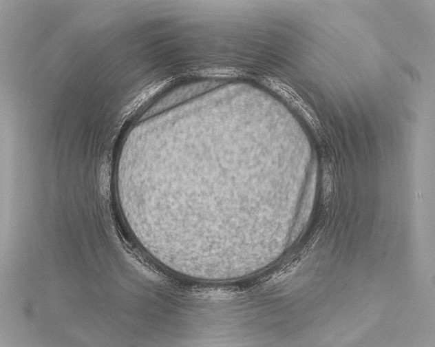 X0000115520533200912040931